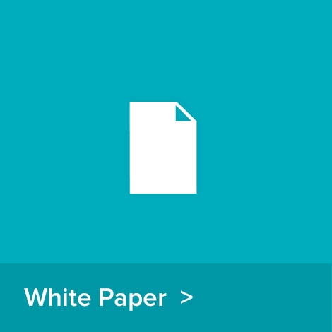 White Paper